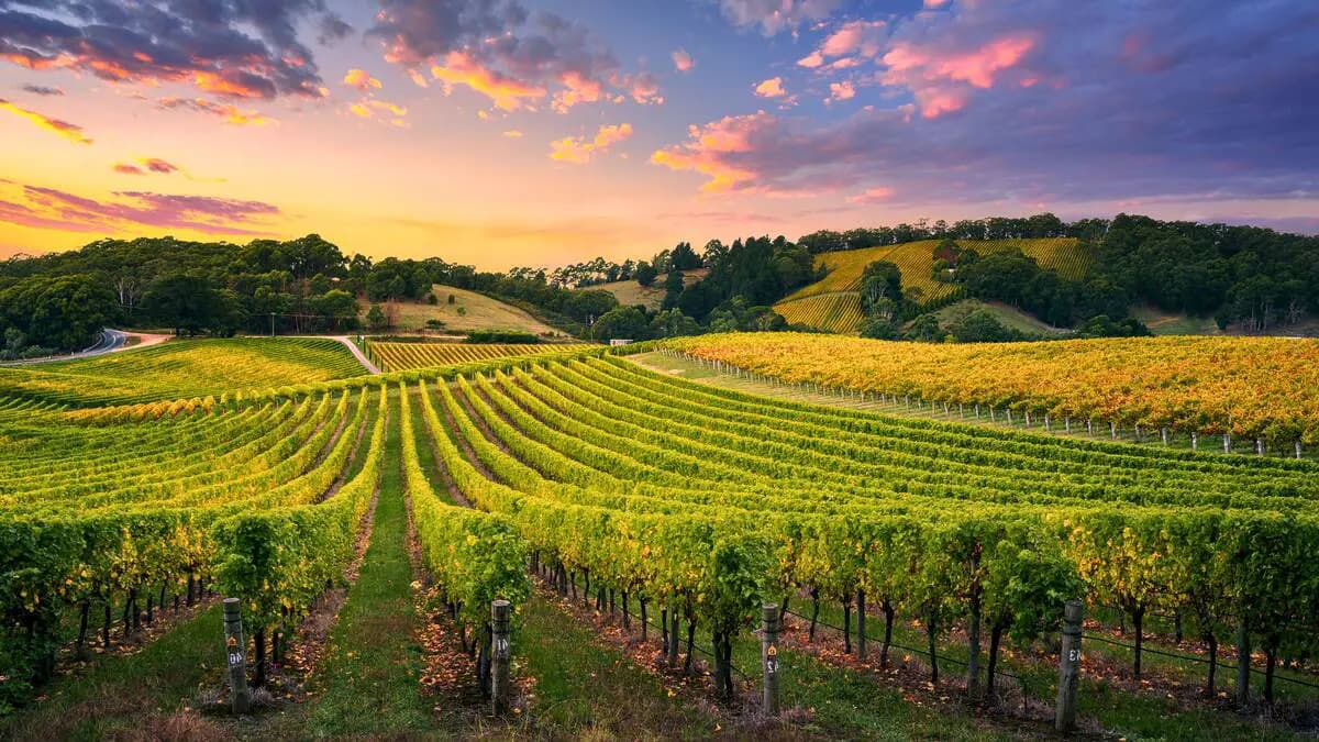 Image pour l'article : Agence Web sur Gironde - Oxelya