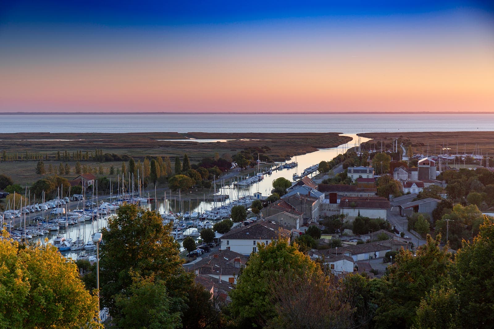 Image pour l'article : Création Site Web événementiel à Gironde - Oxelya