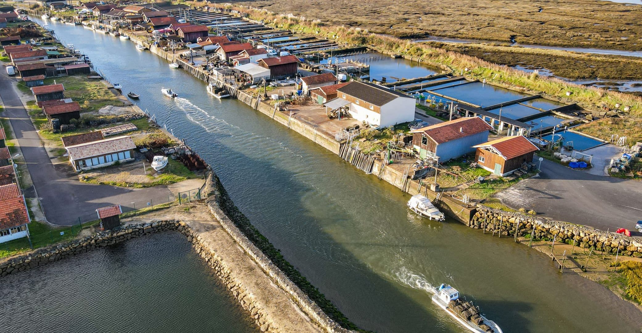 Image pour l'article : Agence Web sur Gujan-Mestras - Oxelya