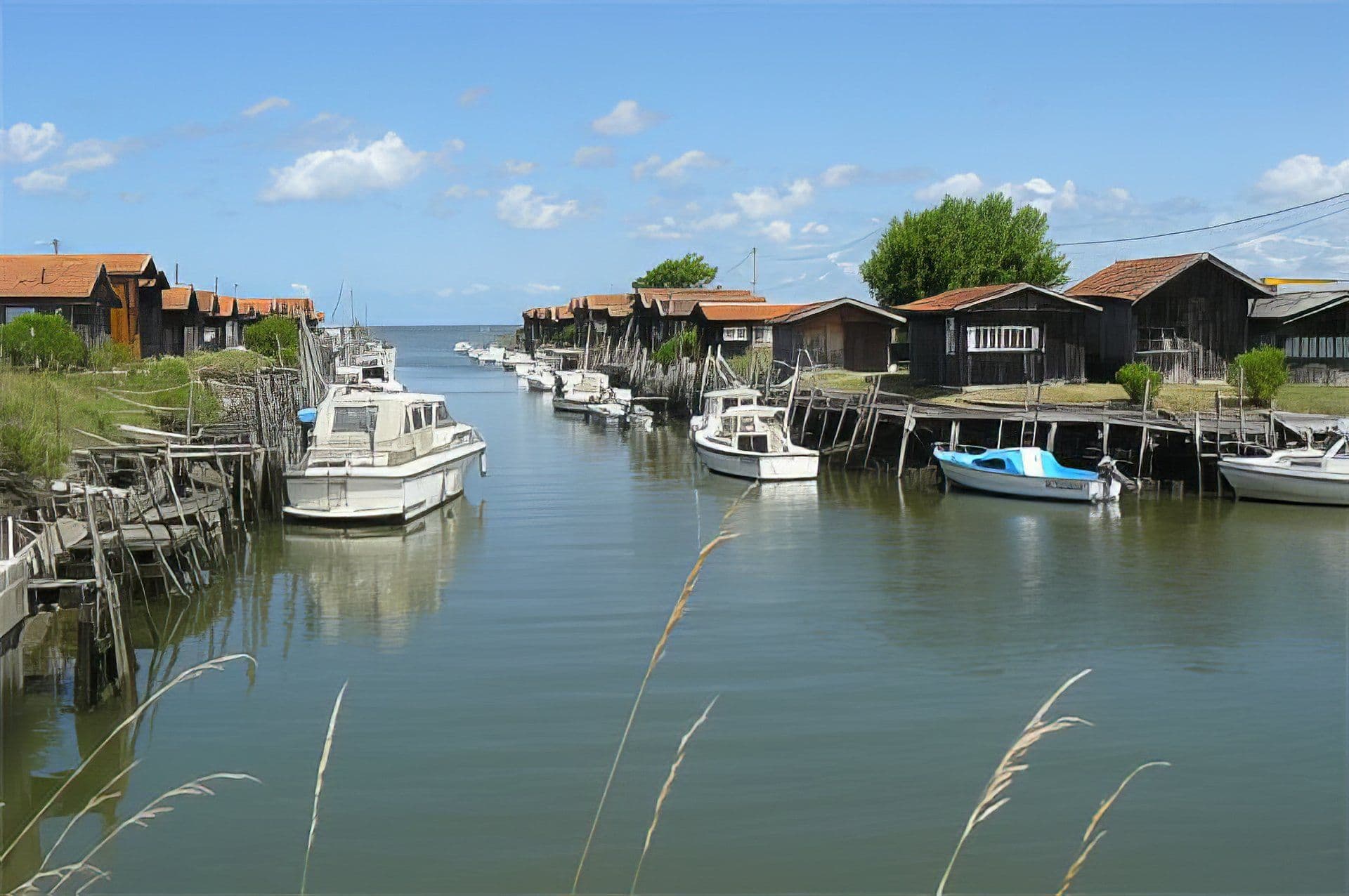 Image pour l'article : Développeur Web à Le Teich - Oxelya