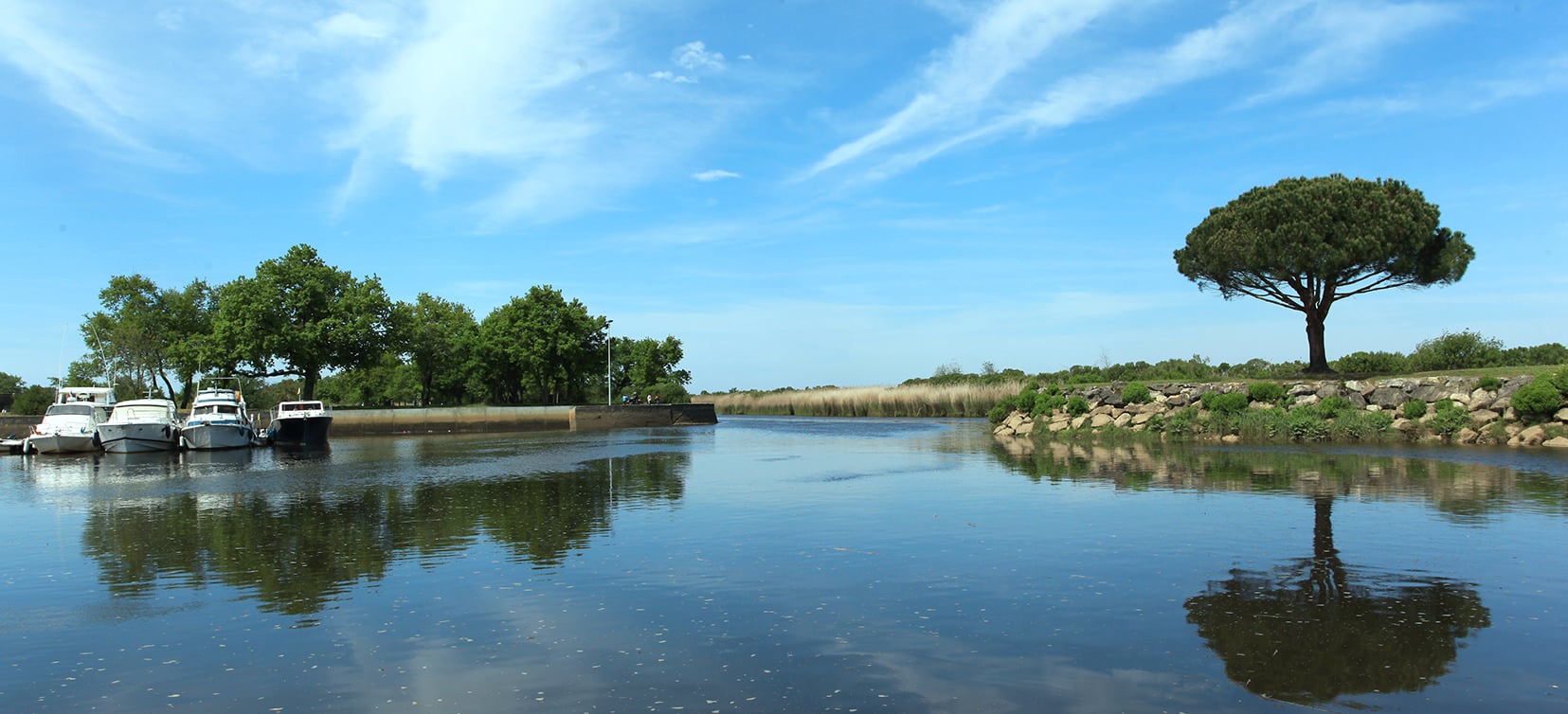 Création Site Web e-commerce à Le Teich - Oxelya